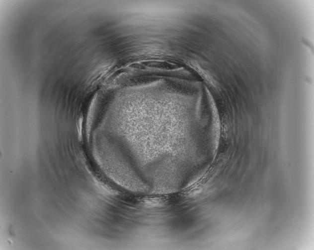 X0000094960070200712201209