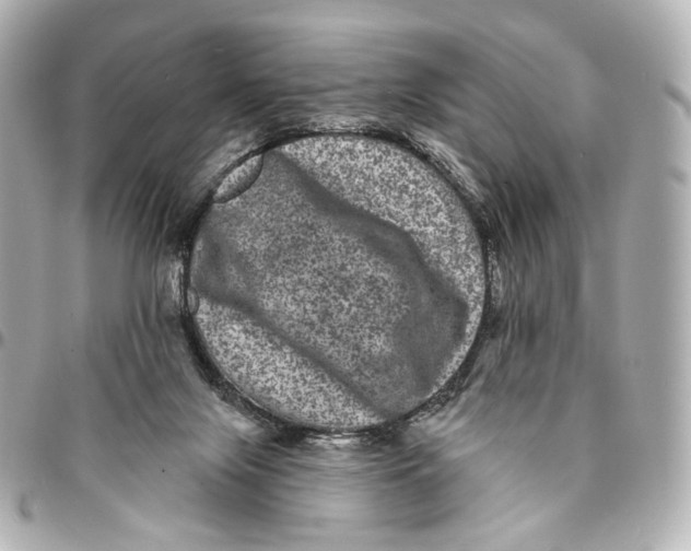 X0000094960071200712201209