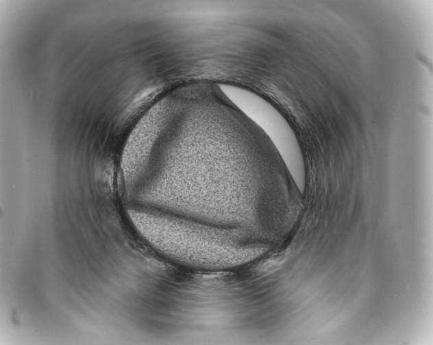 X0000094960072200712201209