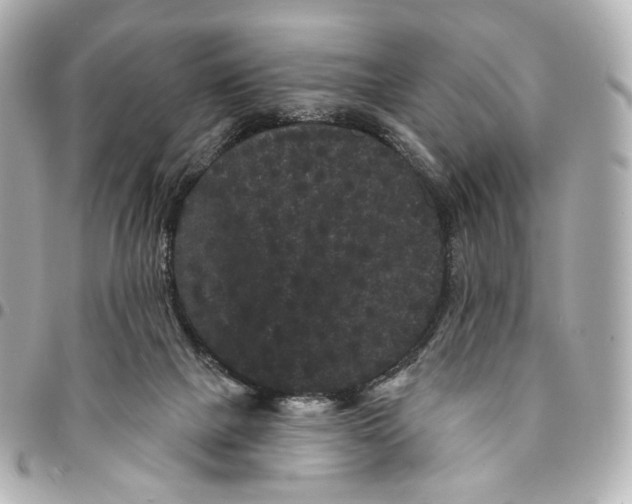 X0000094960073200712201209