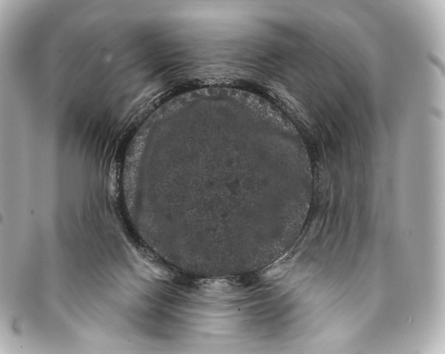 X0000094960074200712201209