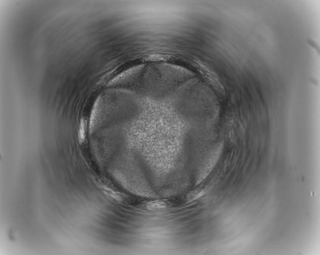 X0000094960075200712201209