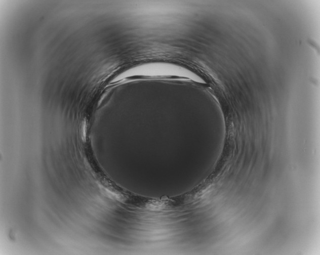 X0000094960076200712201210