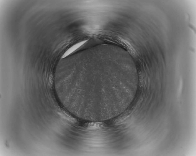 X0000094960077200712201210