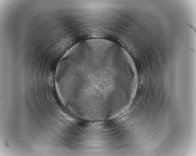 X0000094960078200712201210