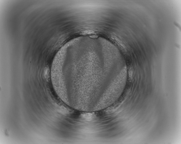 X0000094960079200712201210