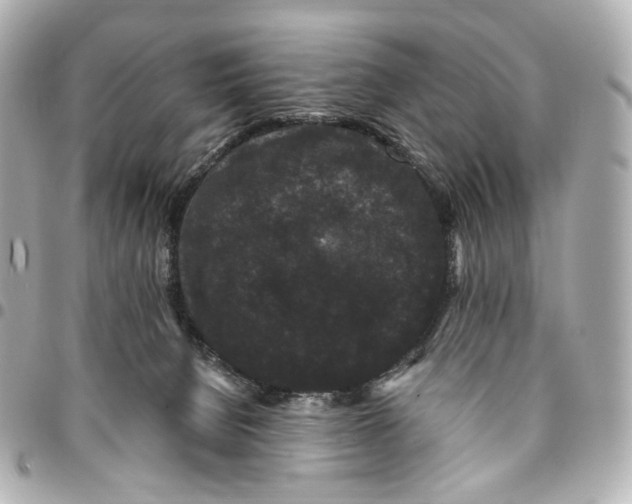 X0000094960080200712201210