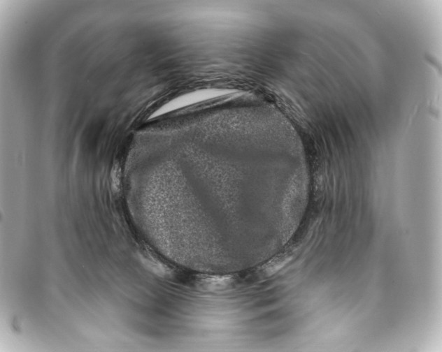 X0000094960081200712201210