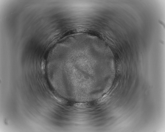 X0000094960082200712201210