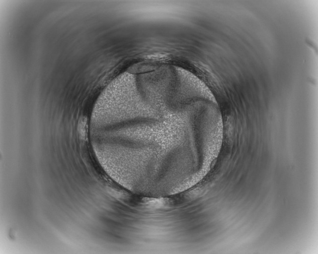 X0000094960083200712201210