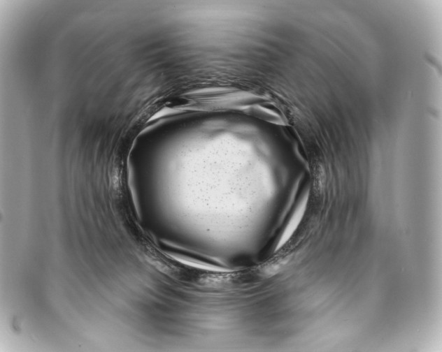 X0000094960084200712201210