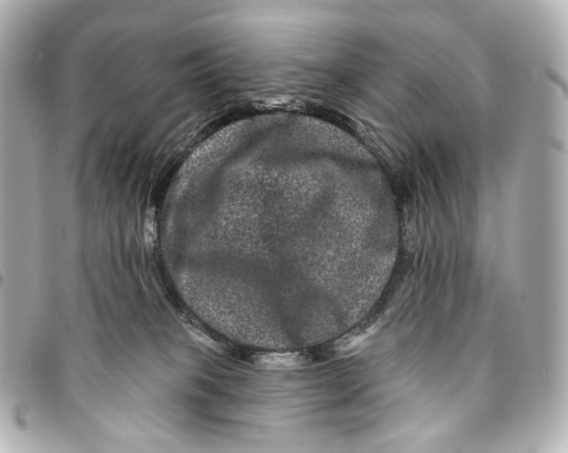 X0000094960085200712201210