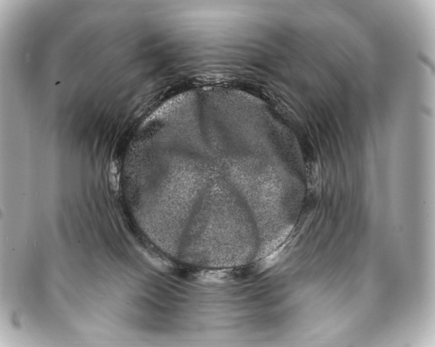 X0000094960086200712201210