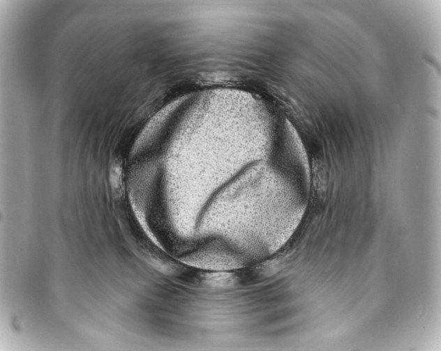 X0000094960087200712201210