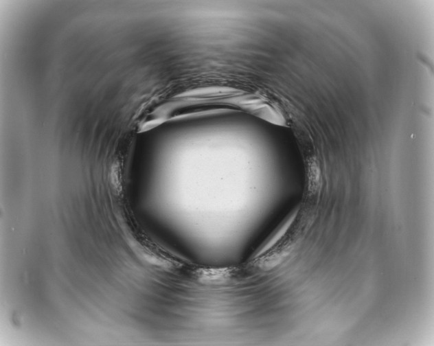 X0000094960088200712201210