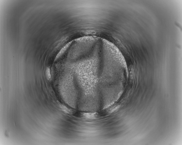 X0000094960089200712201210