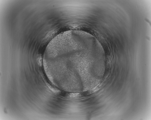 X0000094960090200712201210