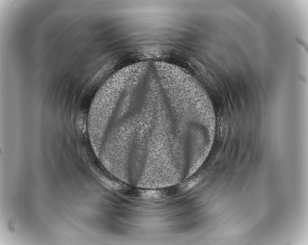 X0000094960091200712201210