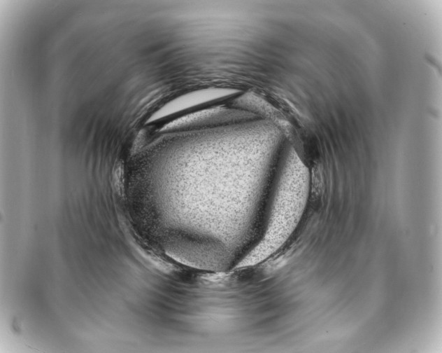 X0000094960092200712201210