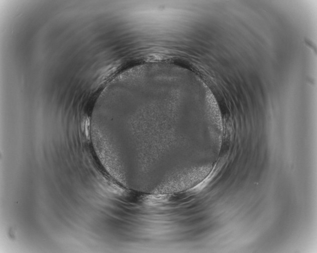 X0000094960094200712201210