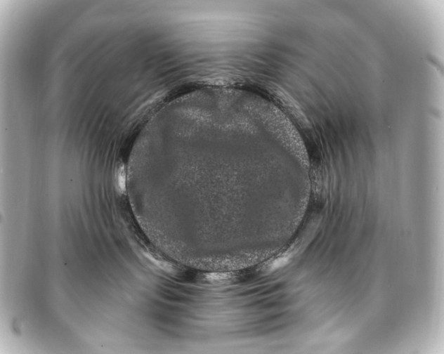 X0000094960095200712201210