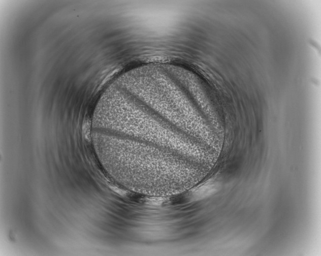 X0000094960096200712201210