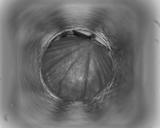 X0000094960097200712201209