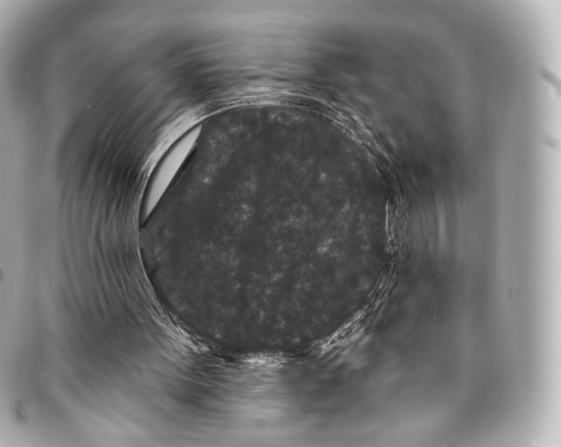 X0000094960099200712201209