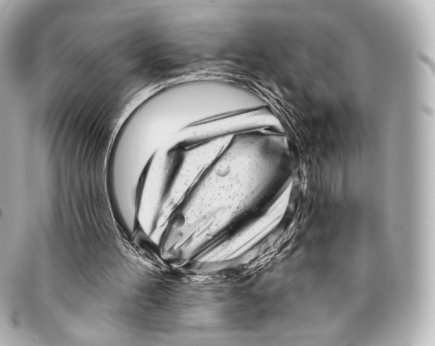 X0000094960100200712201209