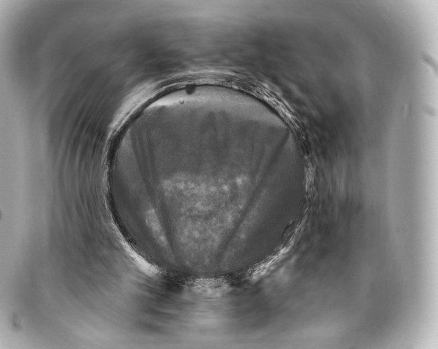 X0000094960101200712201209