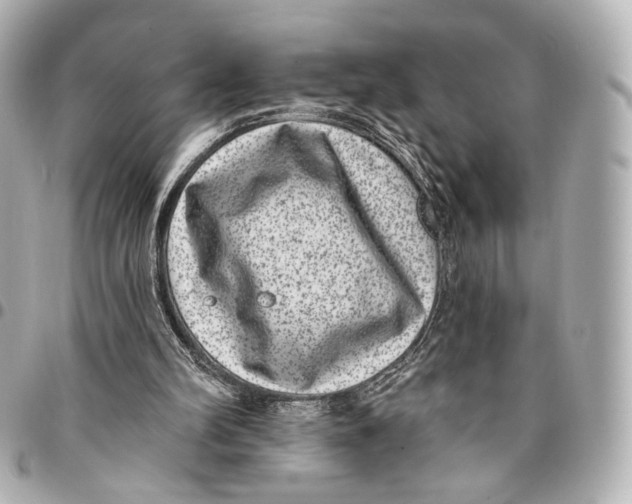 X0000094960102200712201209