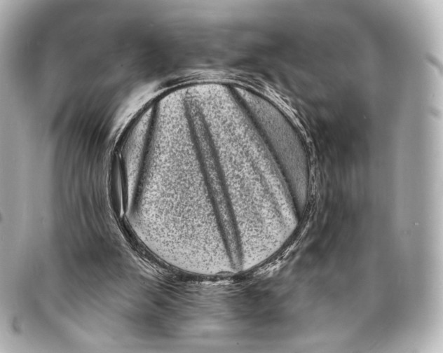 X0000094960103200712201209