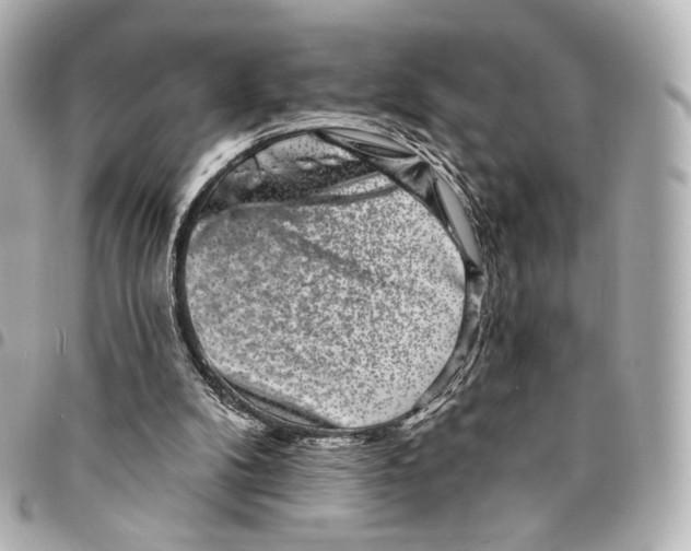 X0000094960104200712201209