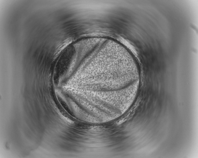 X0000094960105200712201209