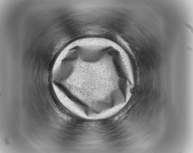 X0000094960106200712201209