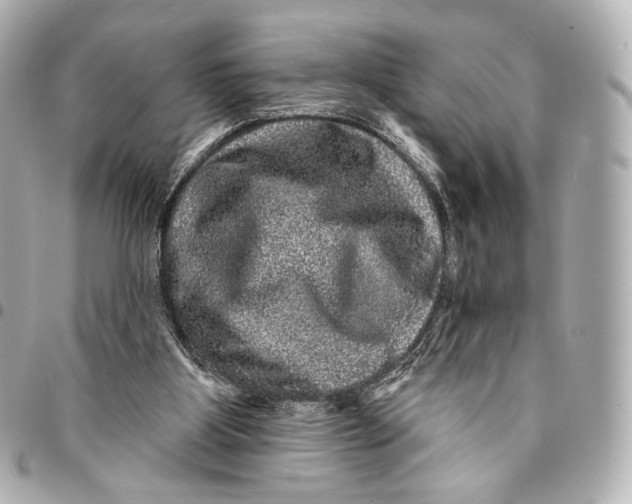 X0000094960107200712201209