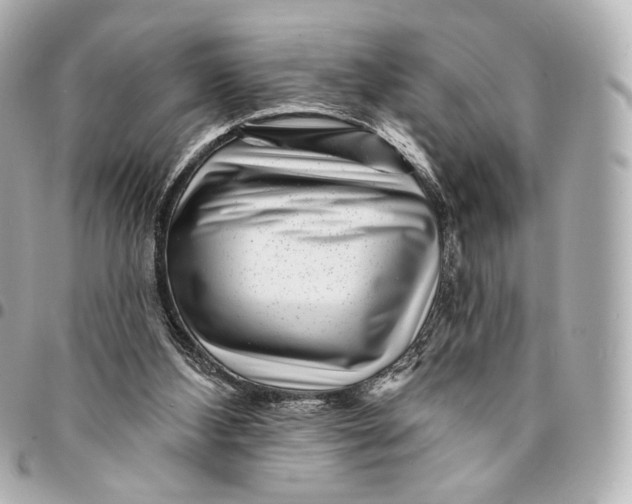 X0000094960108200712201209