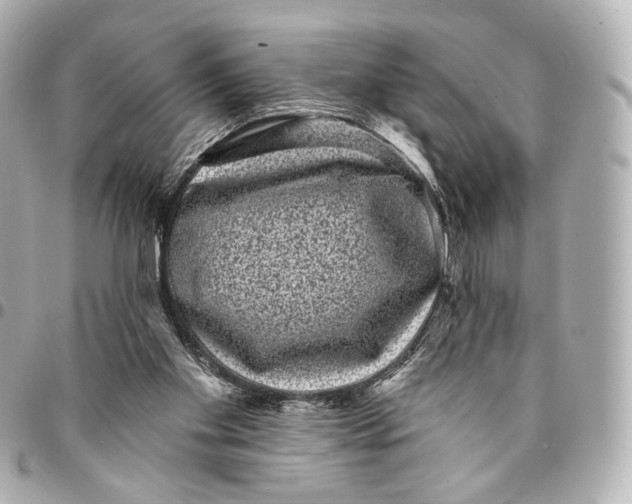 X0000094960109200712201209