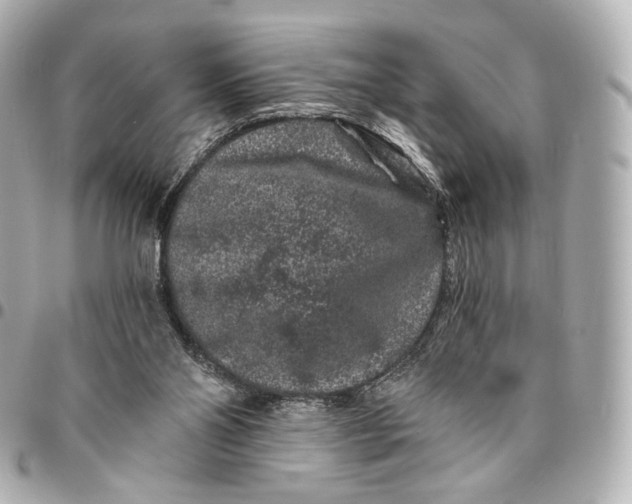 X0000094960110200712201209