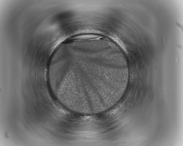 X0000094960111200712201209