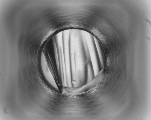 X0000094960112200712201209