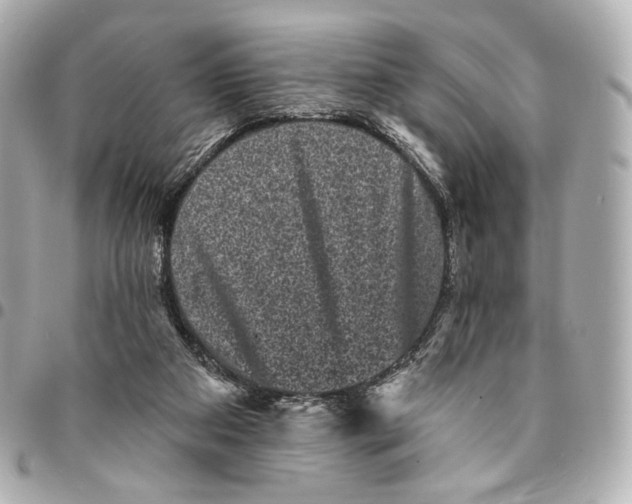 X0000094960113200712201209