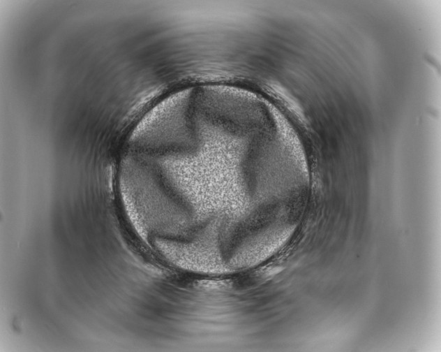 X0000094960115200712201209