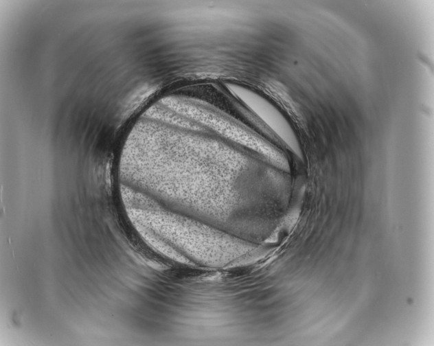 X0000094960116200712201209