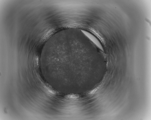 X0000094960117200712201209