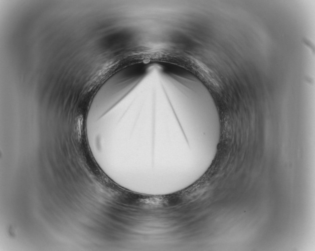 X0000094960118200712201209