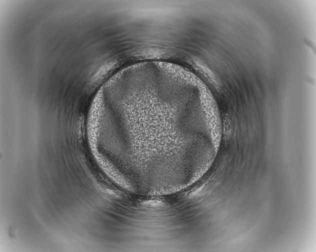 X0000094960119200712201209