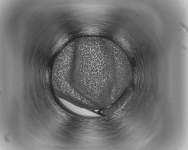 X0000094960120200712201209