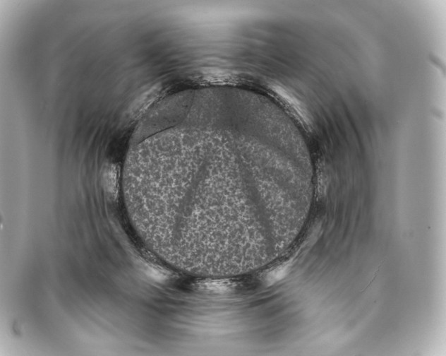 X0000094960121200712201209