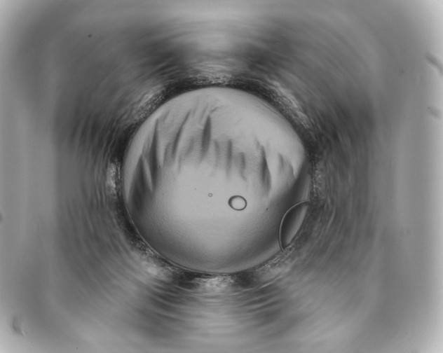 X0000094960122200712201209